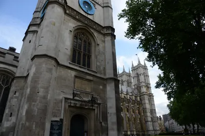 DSC_2832 (Large).JPG